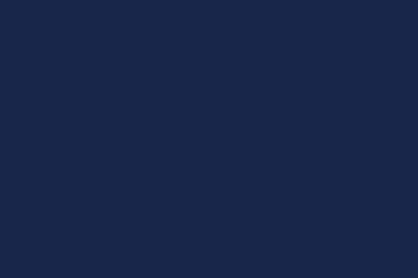 Definición y significado de Bleu de Chauffe