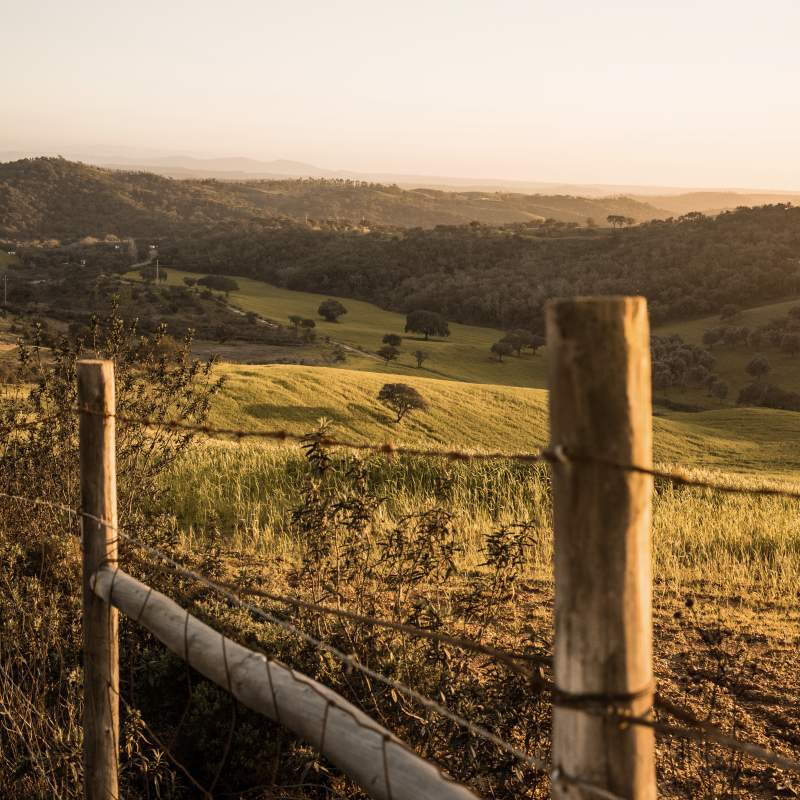 campagne au couch&eacute; de soleil